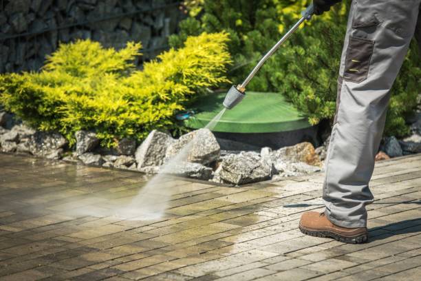Best Spring Cleaning  in Wallington, NJ