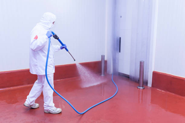 Best Paint Preparation  in Wallington, NJ